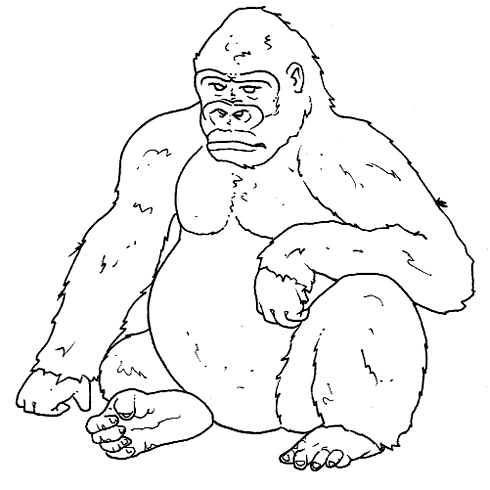 animated-coloring-pages-monkey-image-0007