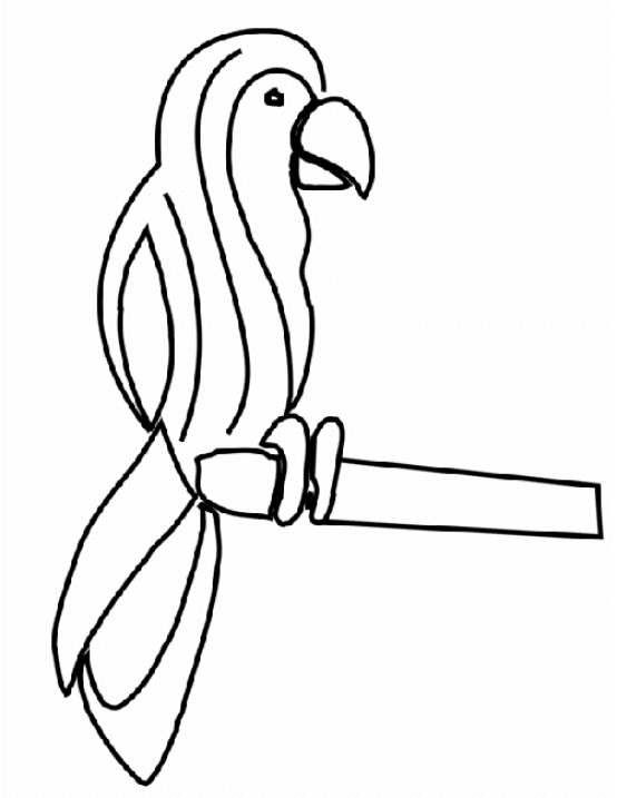 animated-coloring-pages-parrot-image-0008
