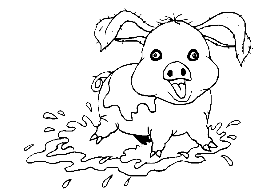 animated-coloring-pages-pig-image-0003