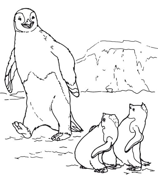 animated-coloring-pages-penguin-image-0001