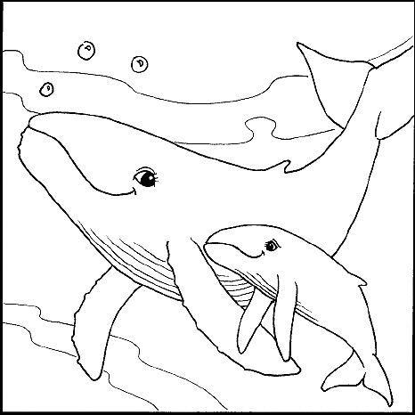 animated-coloring-pages-sea-animal-image-0001