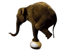 animated-elephant-image-0459