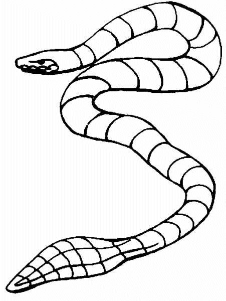 animated-coloring-pages-snake-image-0019