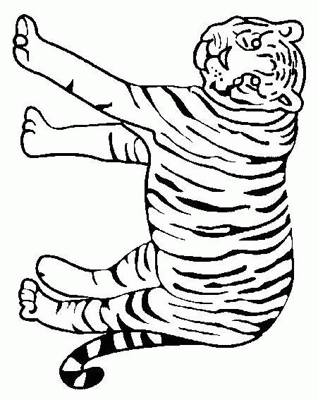 animated-coloring-pages-tiger-image-0014