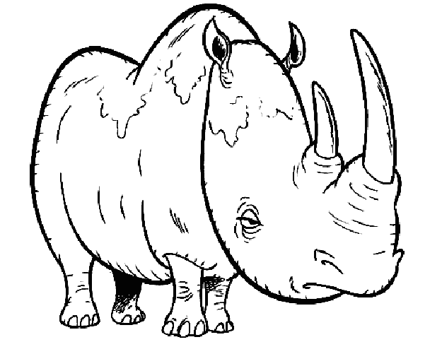 animated-coloring-pages-animal-image-0075