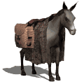 animated-donkey-image-0048
