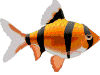 animated-fish-image-0049