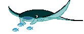 animated-fish-image-0189