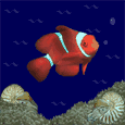 animated-fish-image-0379