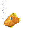 animated-fish-image-0536