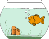 animated-fish-image-0607