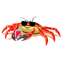 animated-crab-image-0003