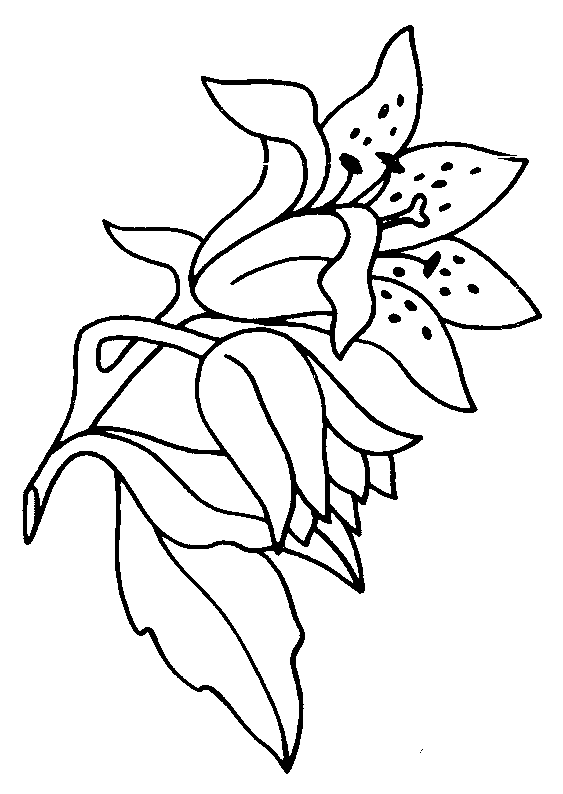 animated-coloring-pages-flower-image-0019