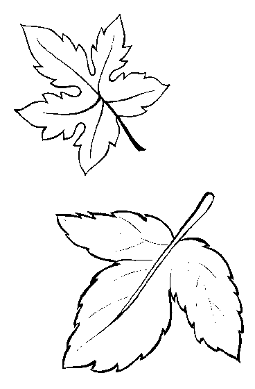 animated-coloring-pages-leaf-image-0004