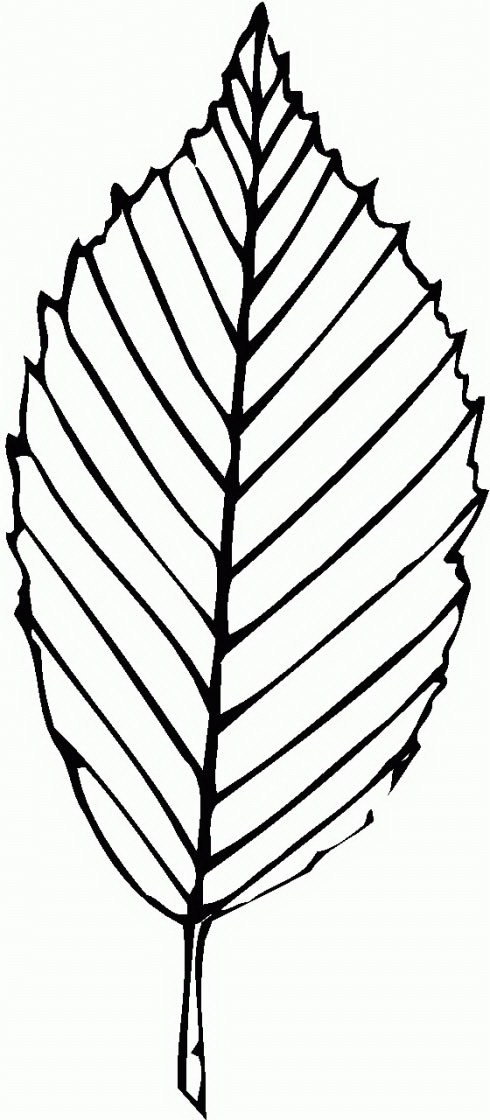 animated-coloring-pages-leaf-image-0010