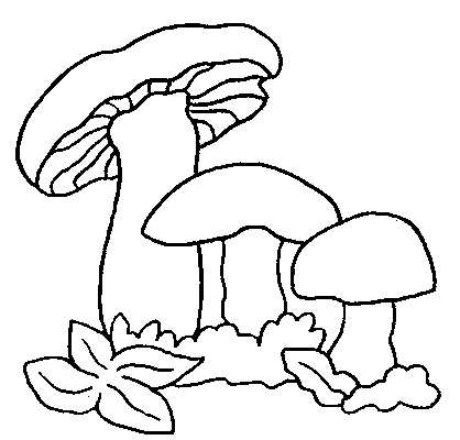 animated-coloring-pages-mushroom-image-0017