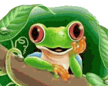 animated-frog-image-0399