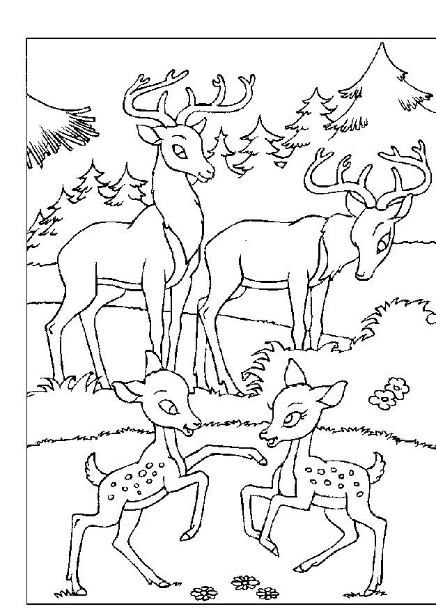 animated-coloring-pages-bambi-image-0026