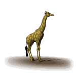 animated-giraffe-image-0037