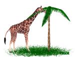 animated-giraffe-image-0047