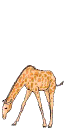 animated-giraffe-image-0080