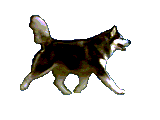 Dogs: Animated Images, Gifs, Pictures & Animations - 100% FREE!