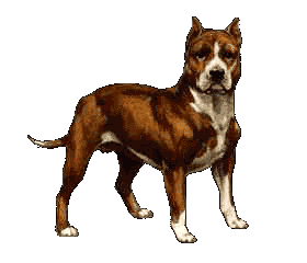 Dogs: Animated Images, Gifs, Pictures & Animations - 100% FREE!