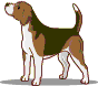 animated-dog-image-0565