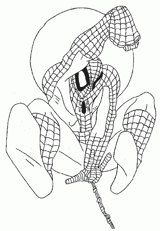 animated-coloring-pages-spider-man-image-0028