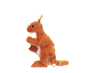 animated-kangaroo-image-0048
