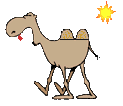 animated-camel-image-0029