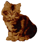 animated-cat-image-0041