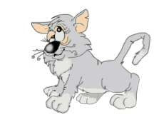 animated-cat-image-0302