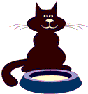 animated-cat-image-0345