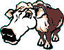 animated-cow-image-0063