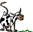 animated-cow-image-0065