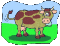 animated-cow-image-0095