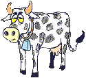 animated-cow-image-0107