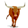 animated-cow-image-0201