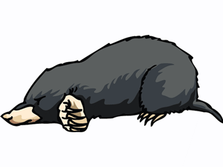 animated-mole-image-0047