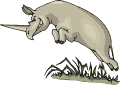 animated-rhino-image-0029