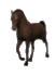 animated-horse-image-0019.gif