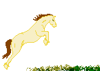 animated-horse-image-0038.gif