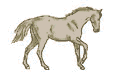animated-horse-image-0106