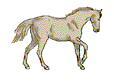 animated-horse-image-0161