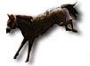 animated-horse-image-0229