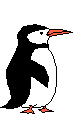 animated-penguin-image-0151