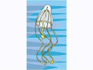animated-jellyfish-image-0016