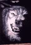 animated-wolf-image-0060