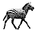 animated-zebra-image-0006